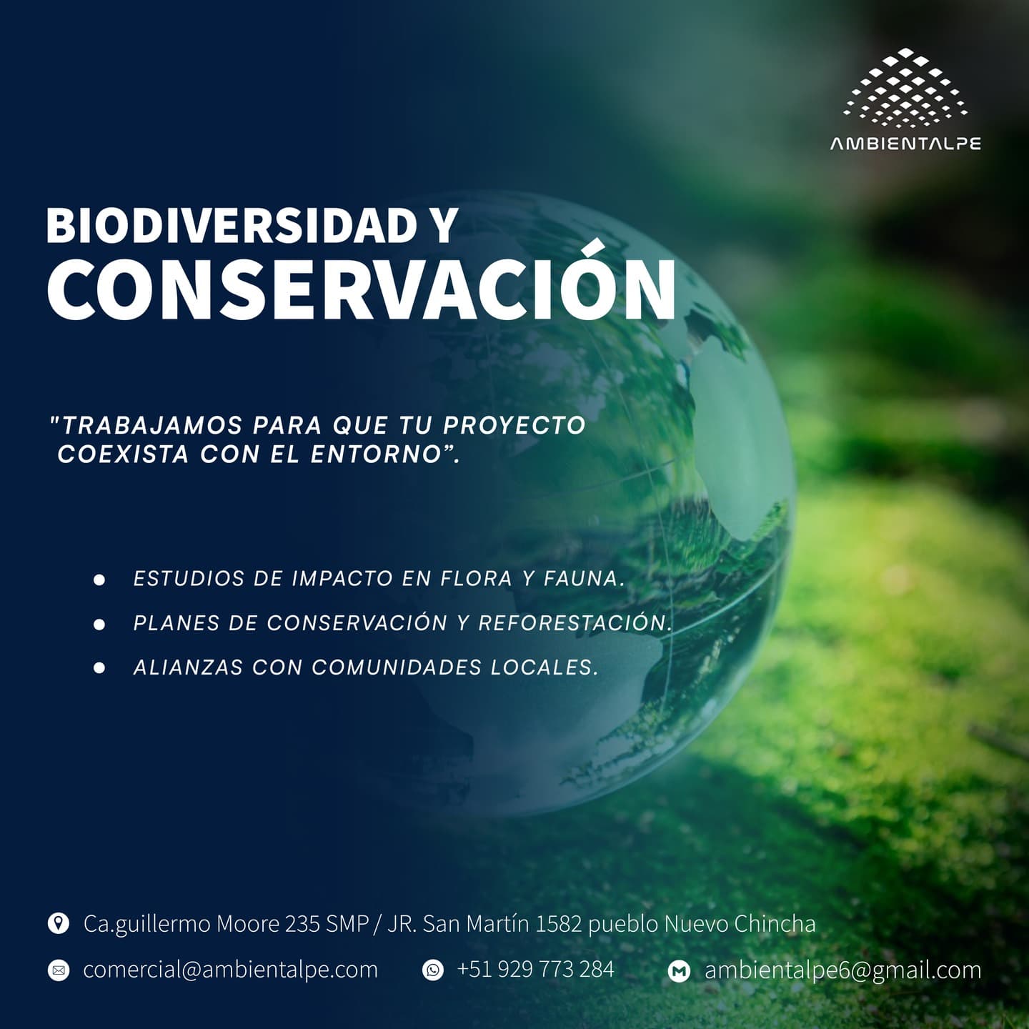 AmbientalPE — publicación 2