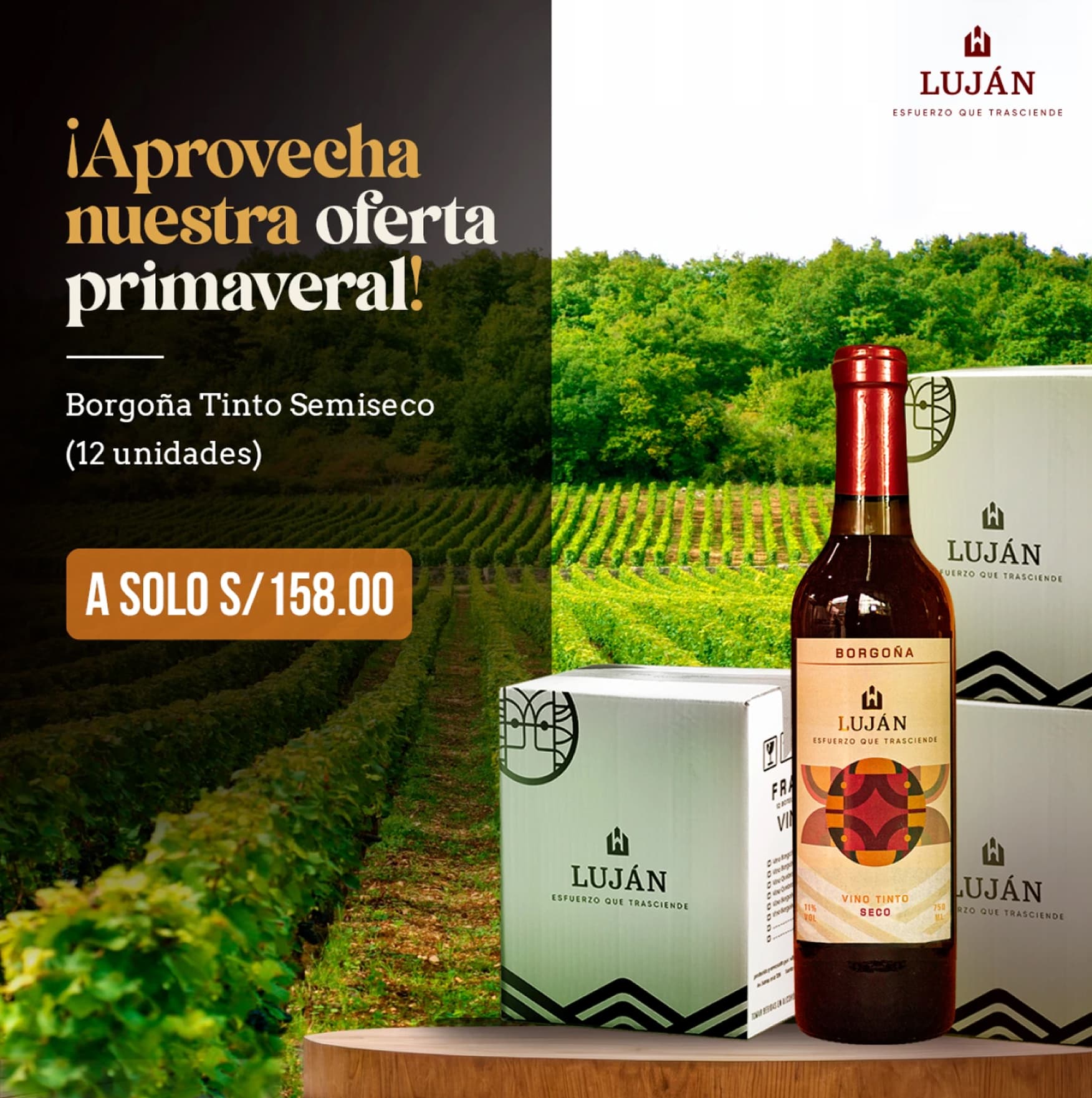 Vitivinícola Luján — anuncio publicitario
