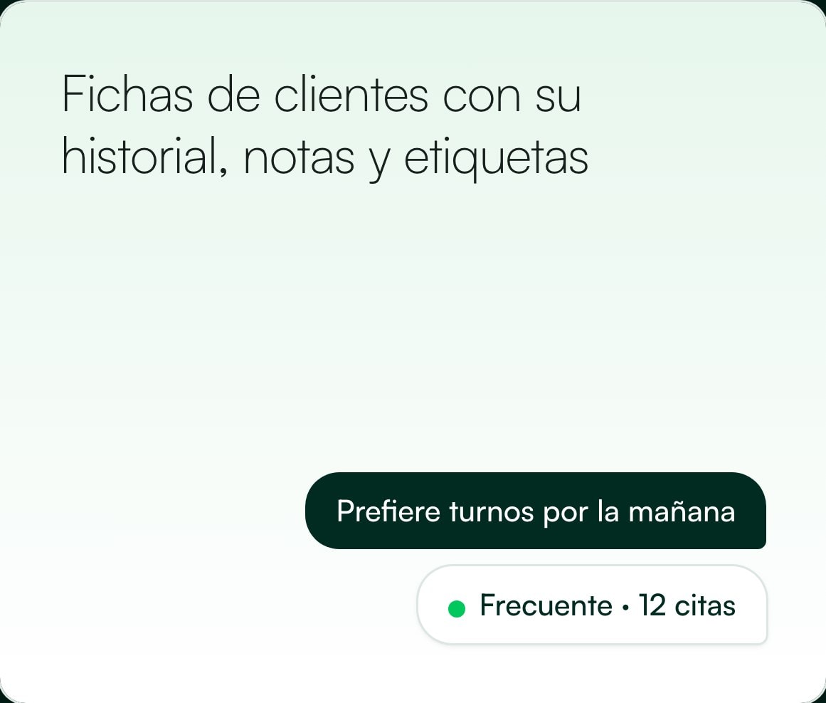 Tarjeta de fichas de clientes: prefiere turnos por la mañana, frecuente con 12 citas