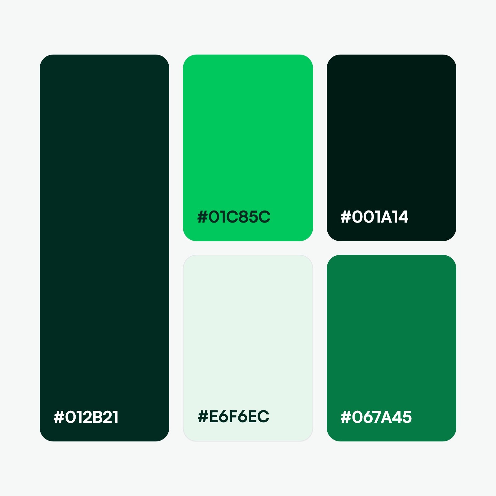 Paleta de Bookit: pino, brote y menta