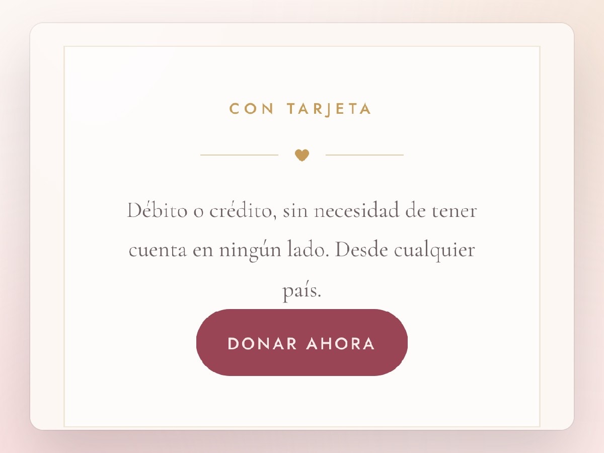 Página de donación de toliveagain.org con tarjeta, PayPal y Zelle